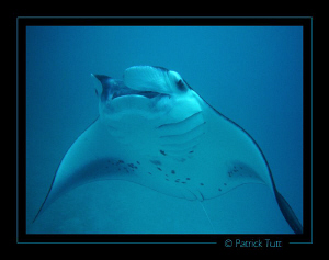 It looks like it flies  - Maldives - Lumix FX01 by Patrick Tutt 
